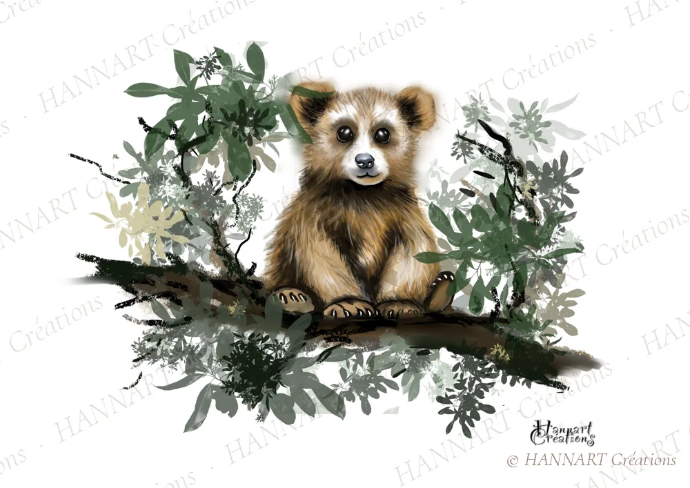 Barnabé l'ourson – illustration HANNART Créations