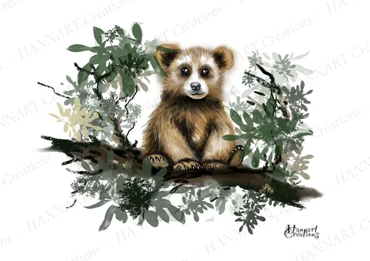 Barnabé l'ourson – illustration HANNART