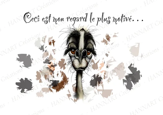 C'est mon regard le plus motivé – illustration HANNART