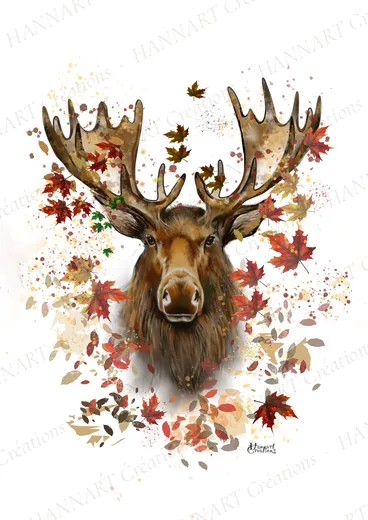 Caribou – illustration HANNART