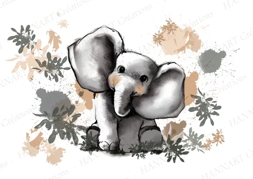 Dab le petit éléphant – illustration HANNART
