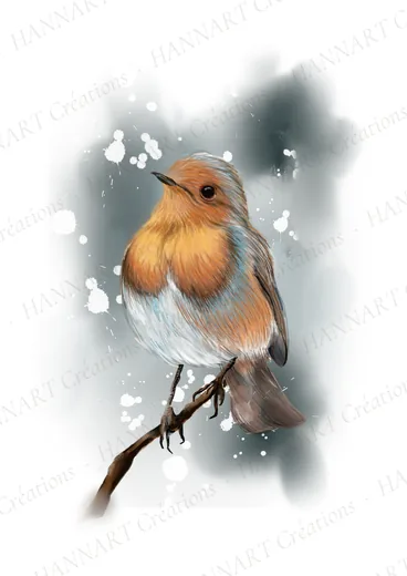 L'oiseau – illustration HANNART