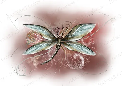 Libellule – illustration HANNART