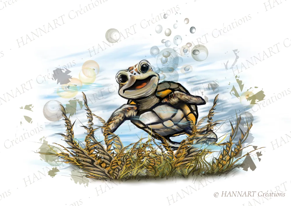 Lilou la tortue – illustration HANNART Créations